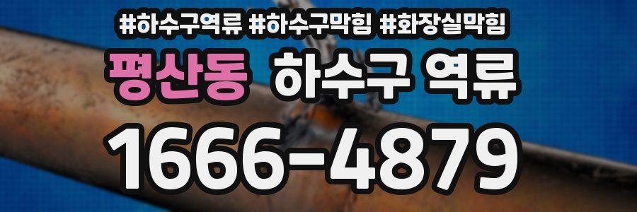 평산동 하수구 역류