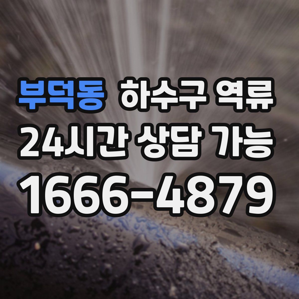 부덕동 하수구 역류