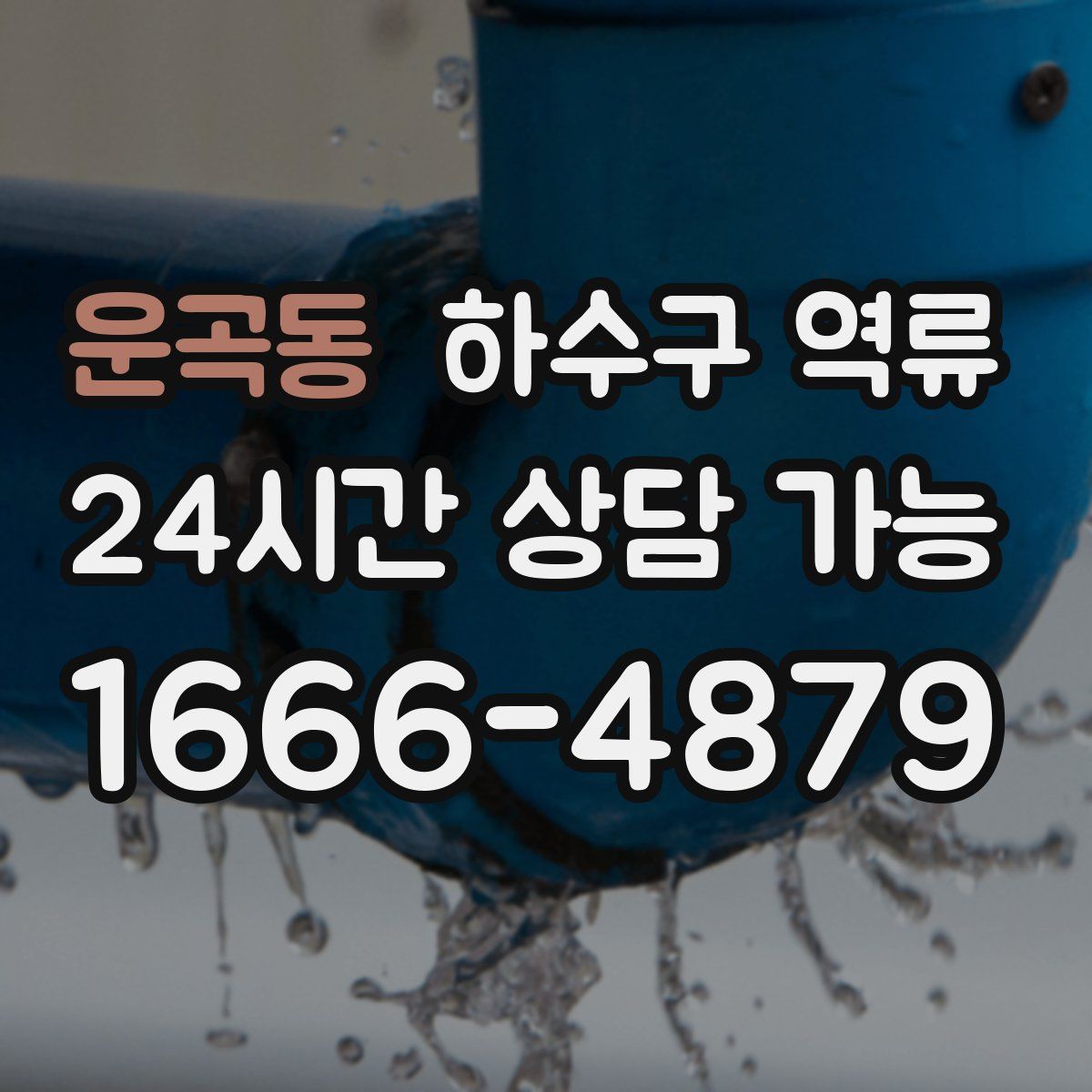 운곡동 하수구 역류