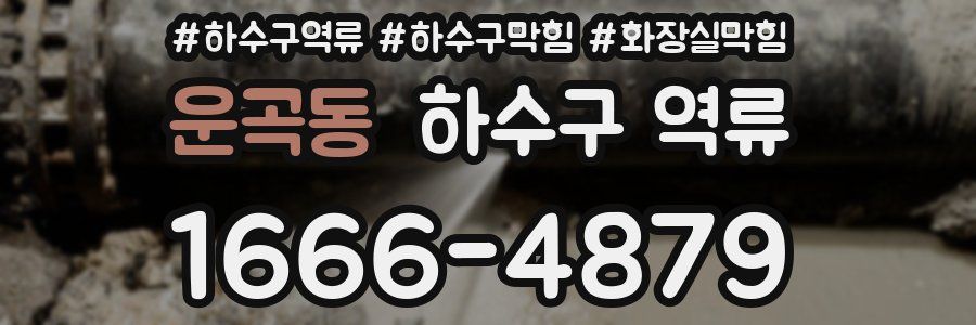 운곡동 하수구 역류