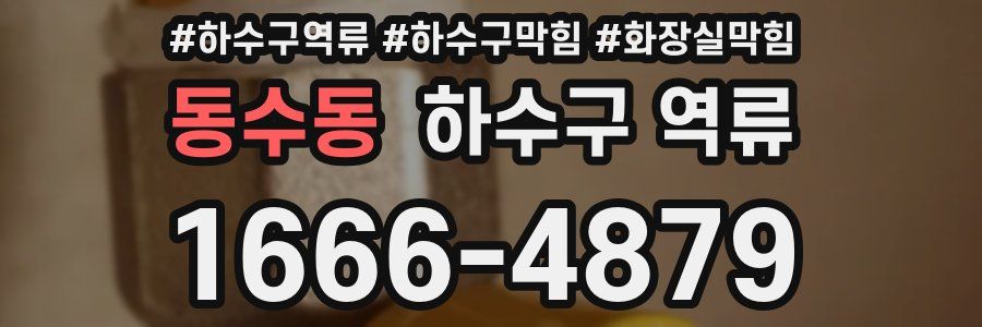 동수동 하수구 역류