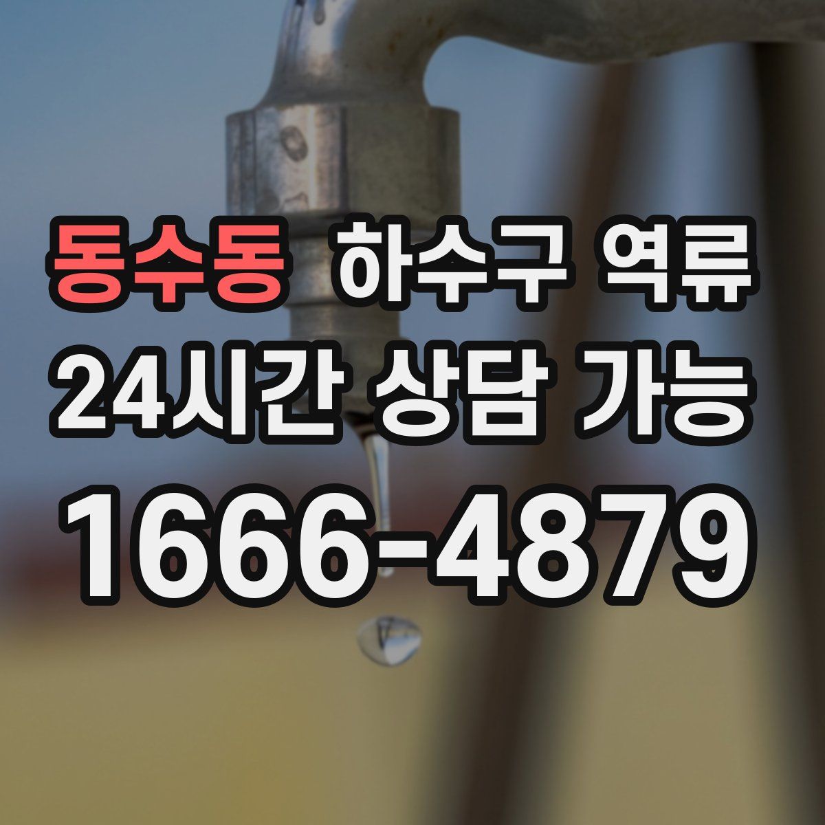 동수동 하수구 역류