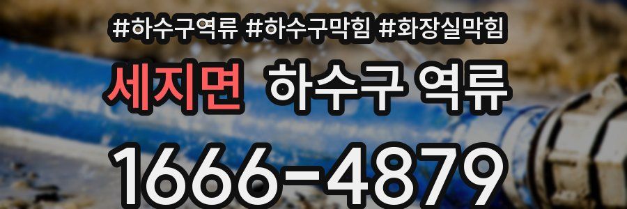 세지면 하수구 역류