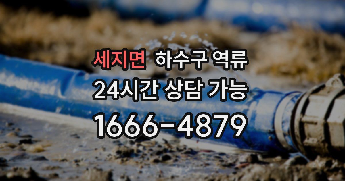 세지면 하수구 역류
