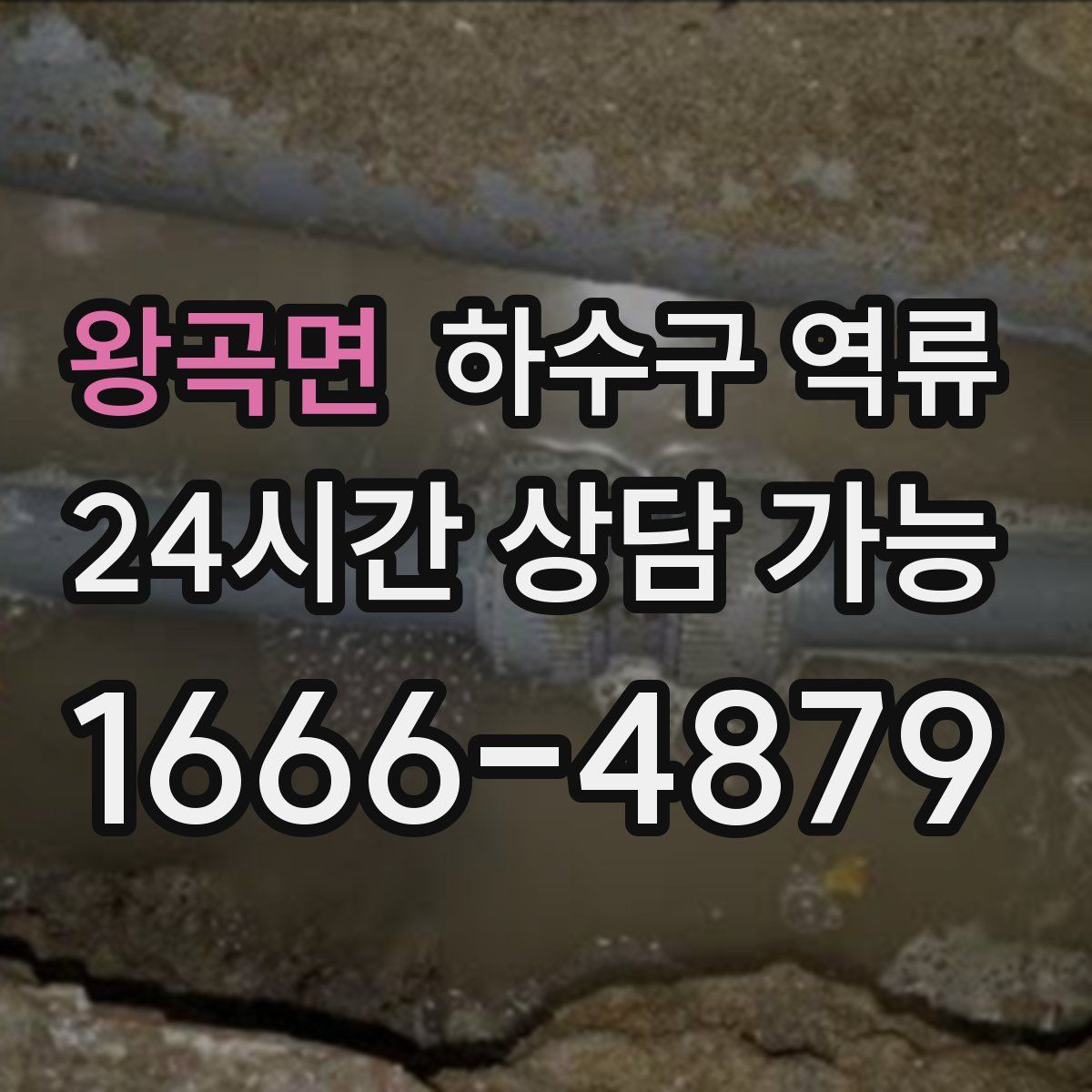 왕곡면 하수구 역류