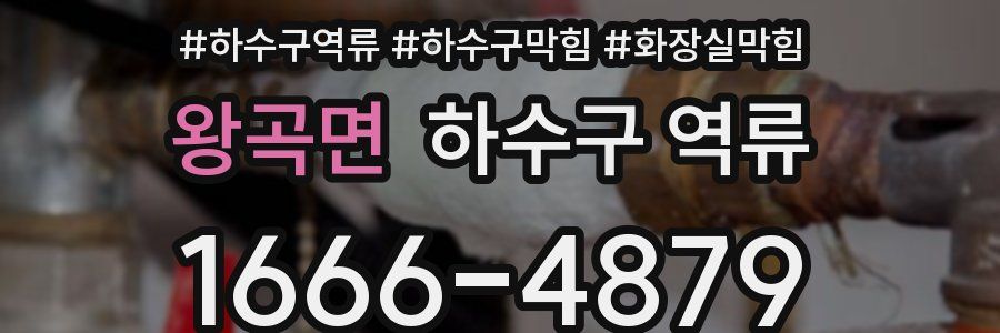 왕곡면 하수구 역류