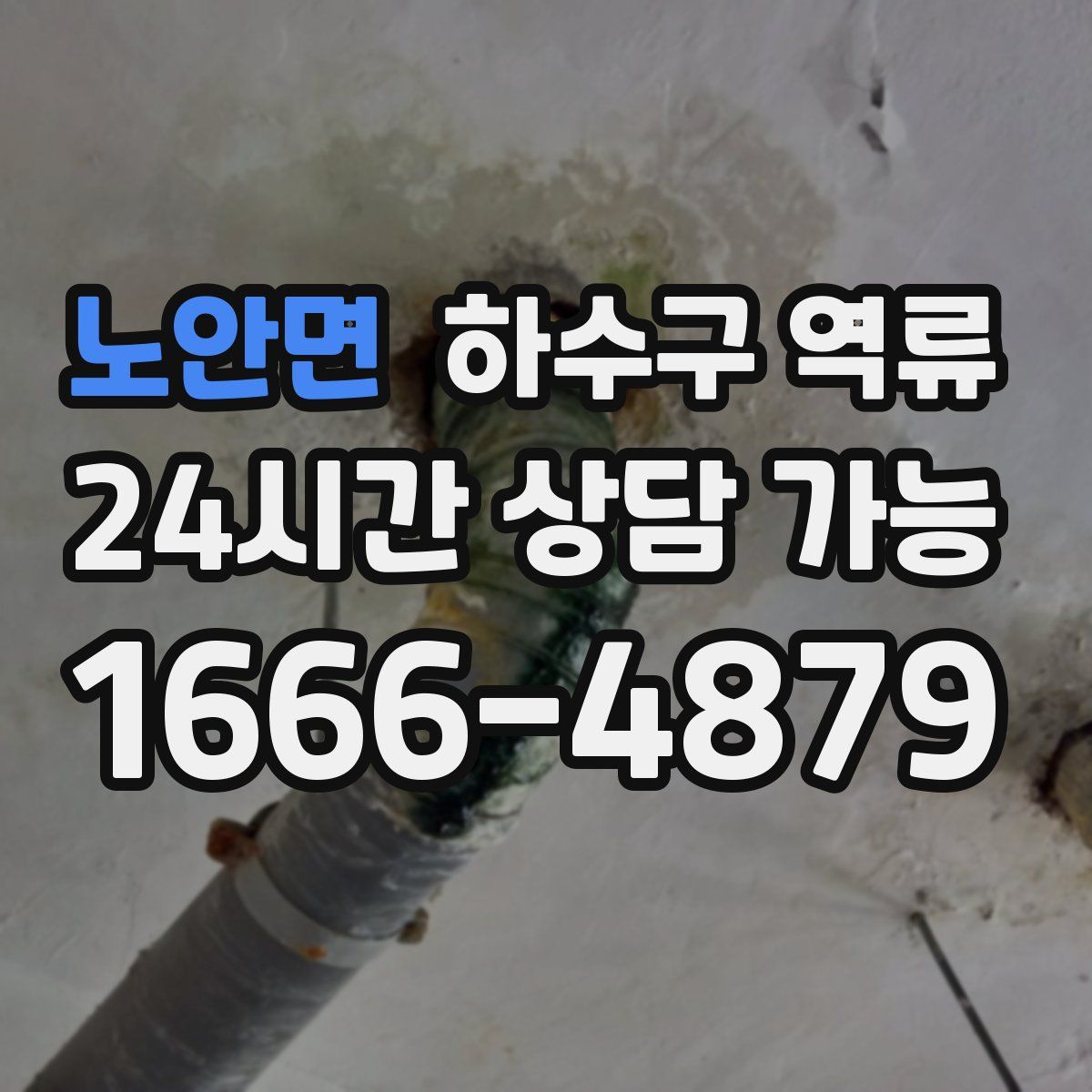 노안면 하수구 역류