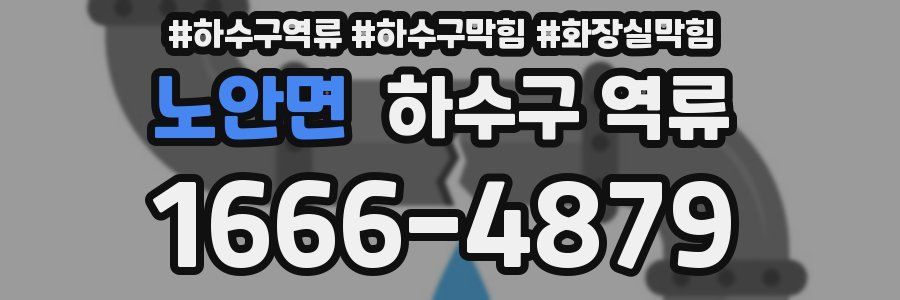 노안면 하수구 역류