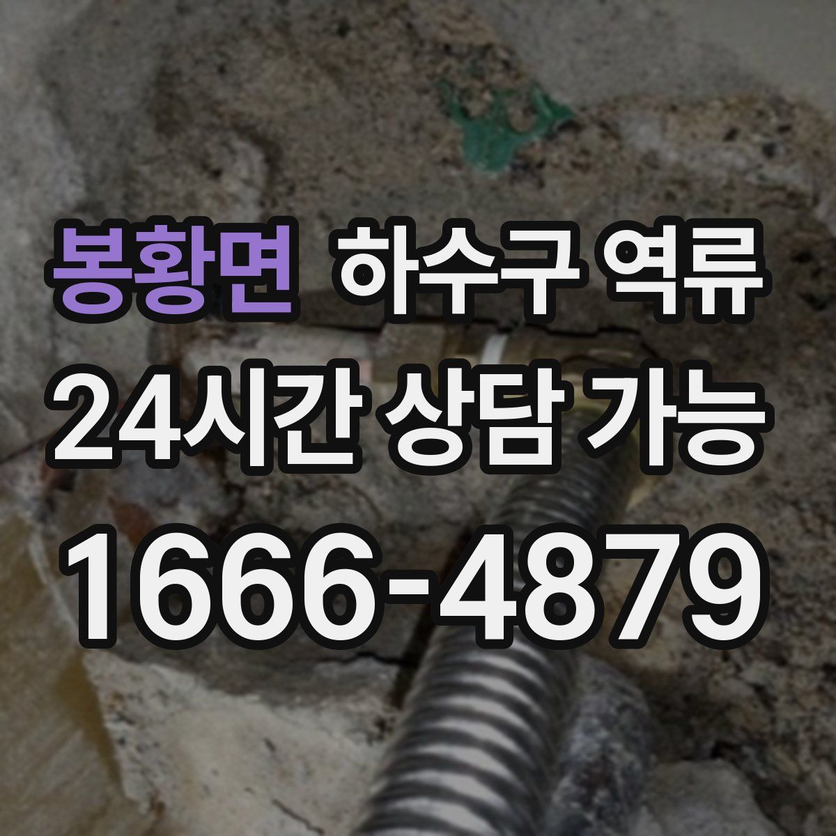 봉황면 하수구 역류