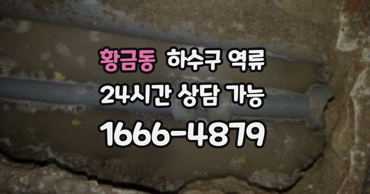 황금동 하수구 역류