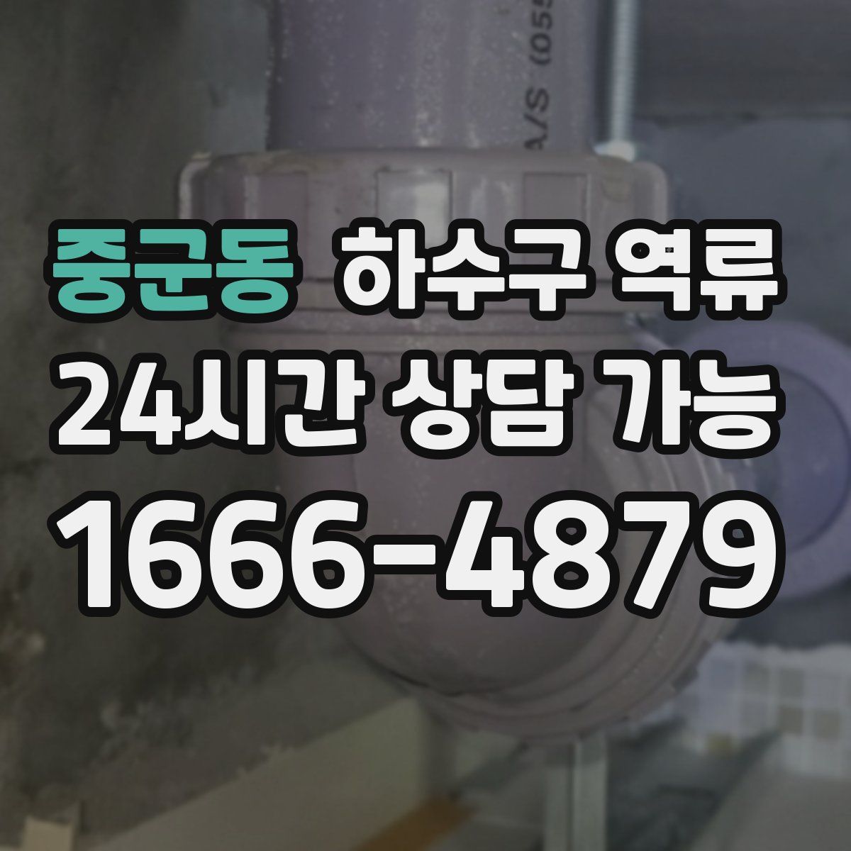 중군동 하수구 역류