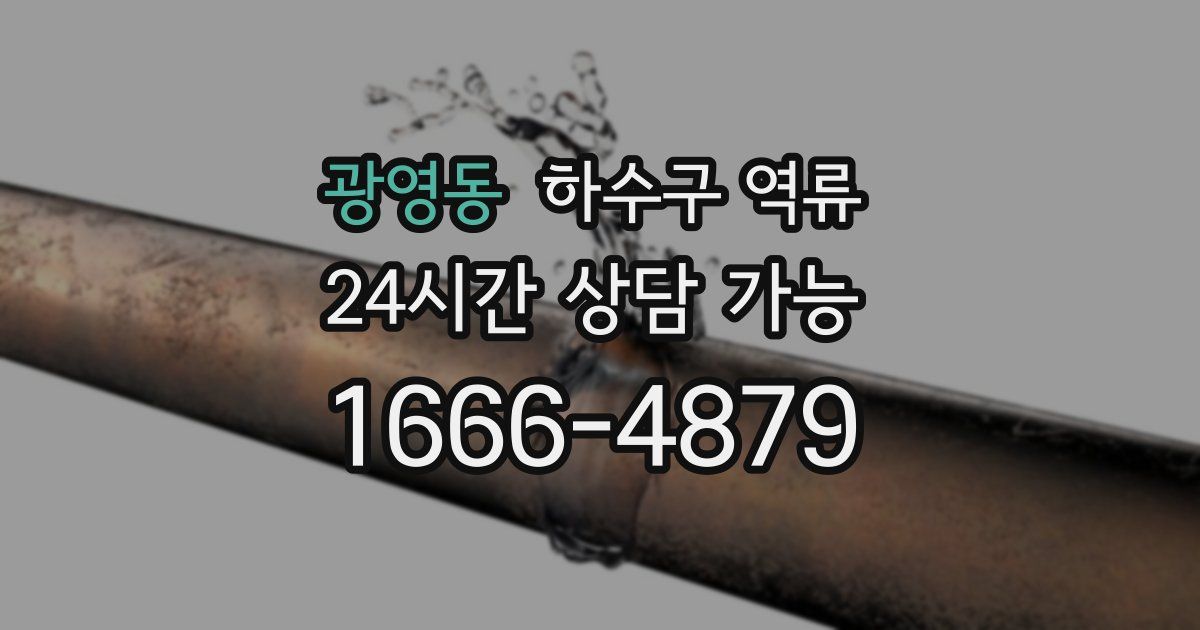 광영동 하수구 역류