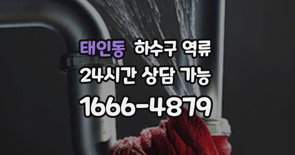 태인동 하수구 역류