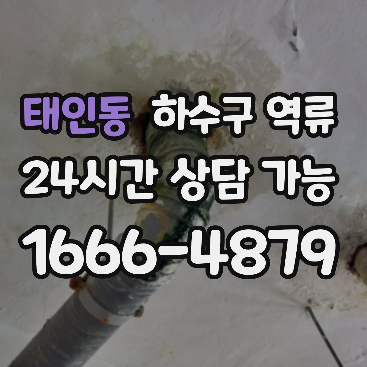 태인동 하수구 역류