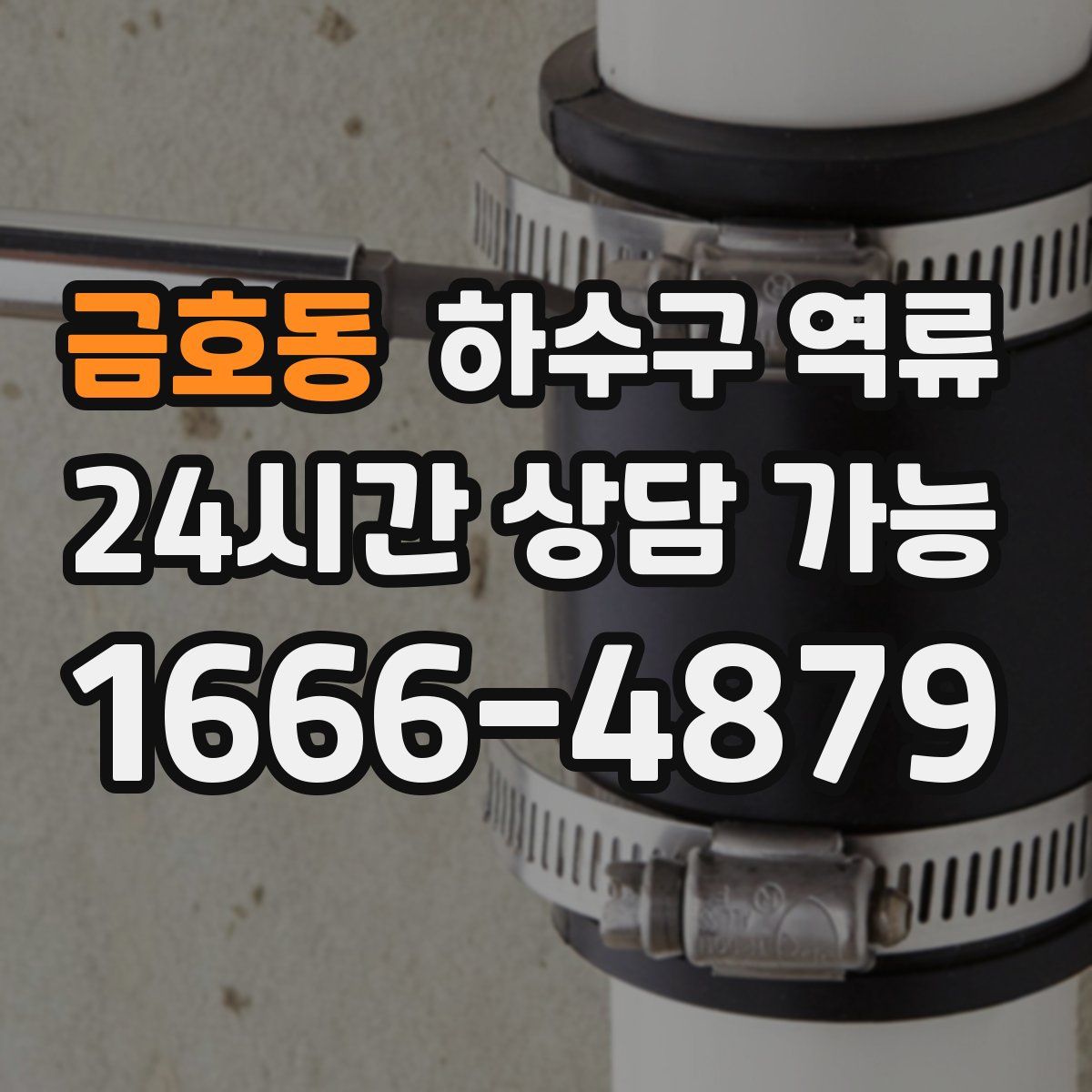 금호동 하수구 역류