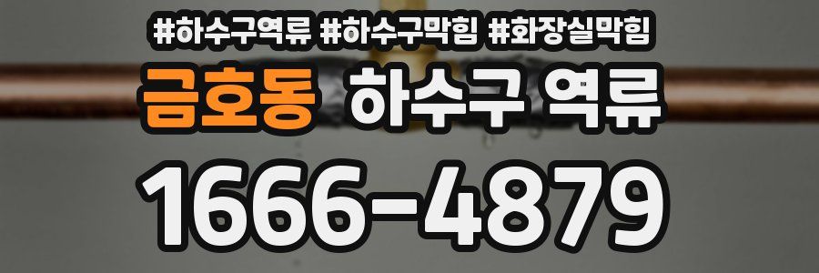 금호동 하수구 역류