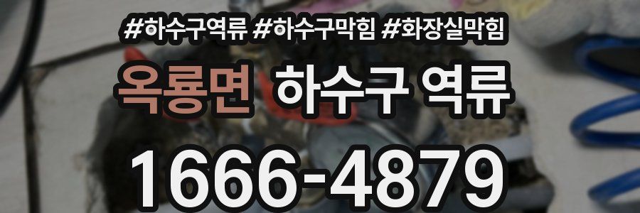 옥룡면 하수구 역류