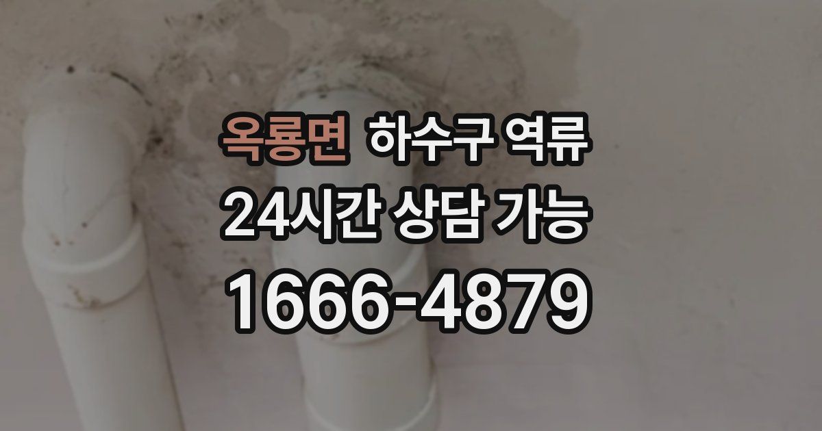 옥룡면 하수구 역류