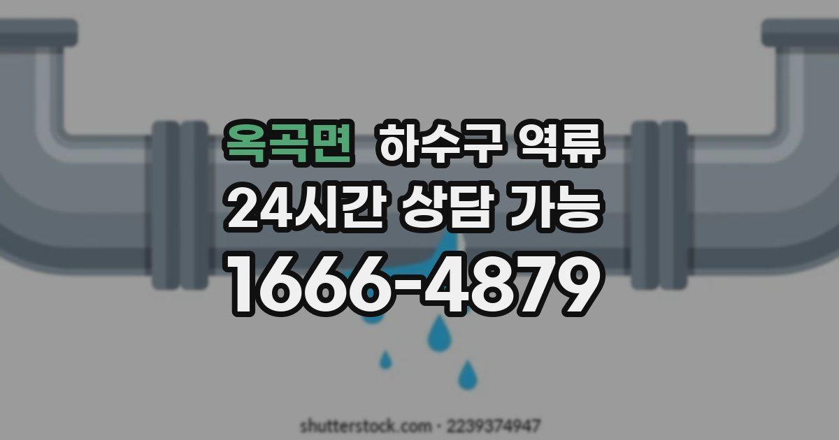 옥곡면 하수구 역류