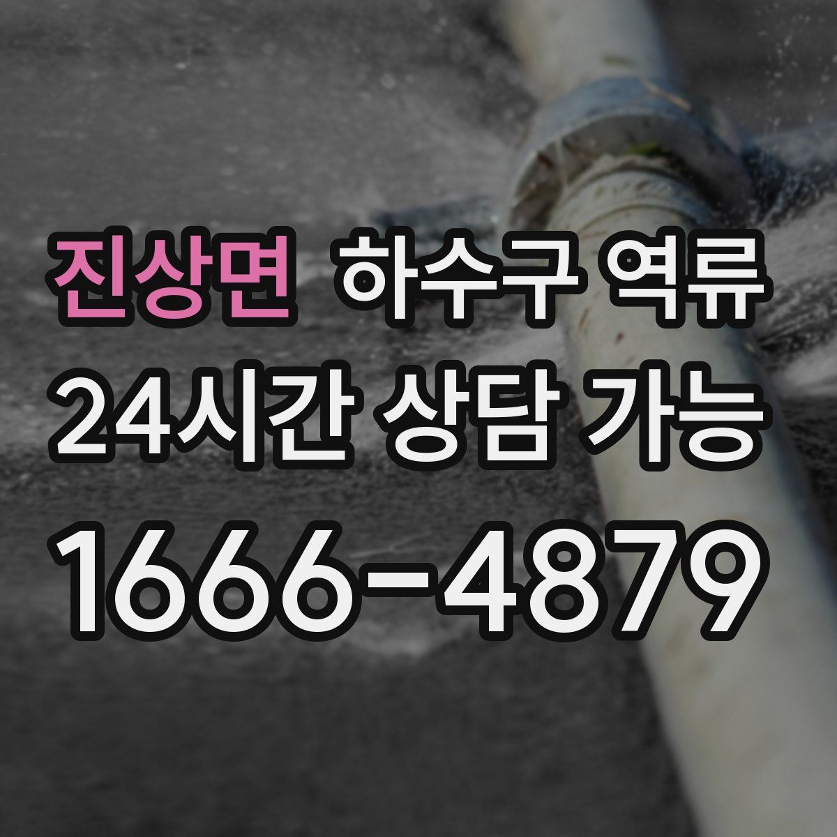 진상면 하수구 역류