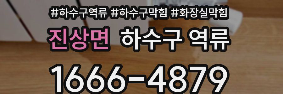 진상면 하수구 역류