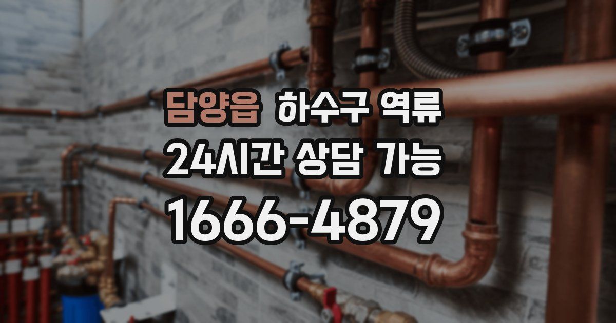 담양읍 하수구 역류