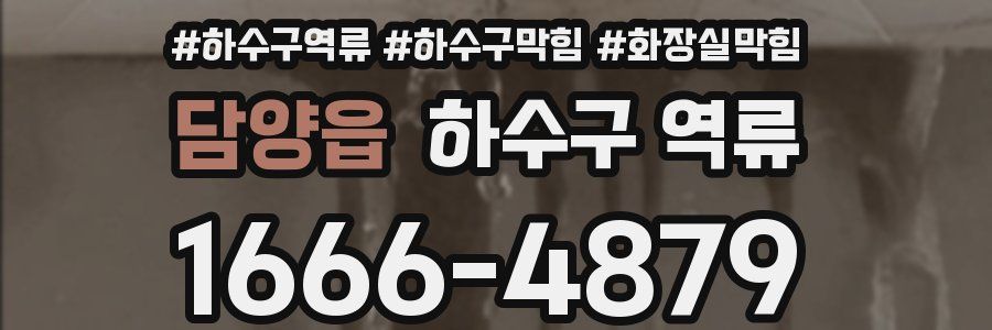 담양읍 하수구 역류