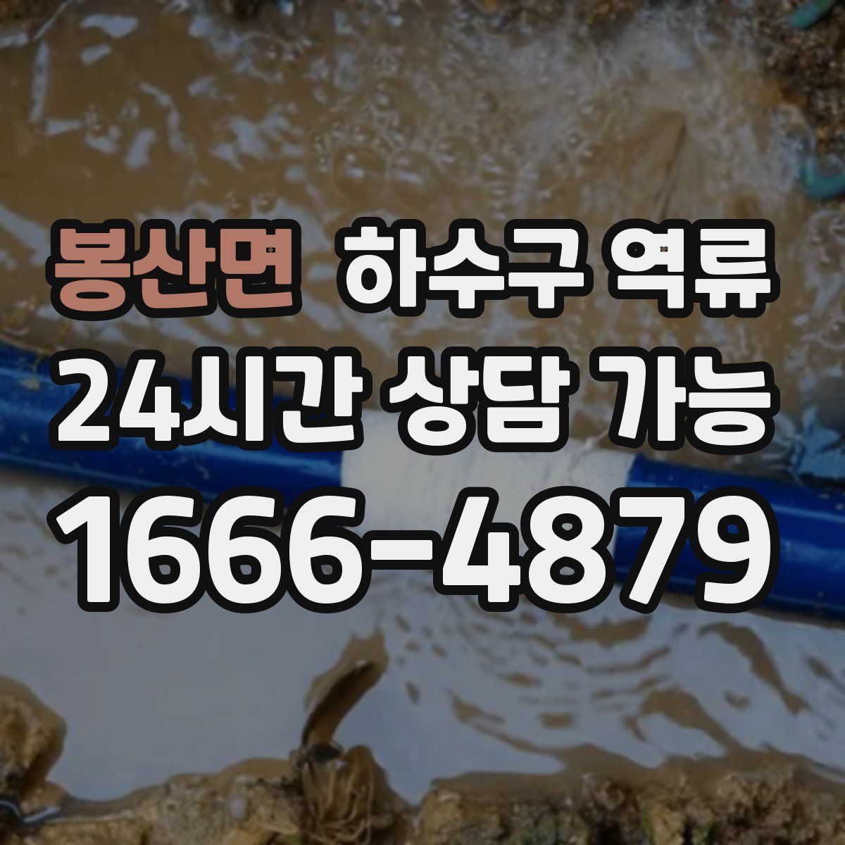 봉산면 하수구 역류