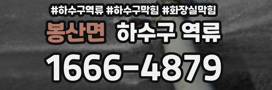 봉산면 하수구 역류