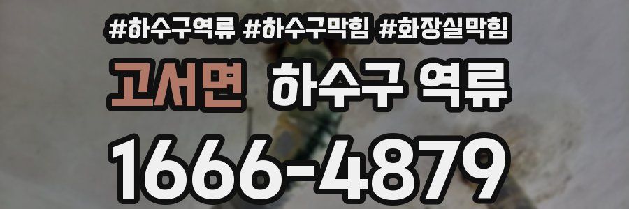 고서면 하수구 역류