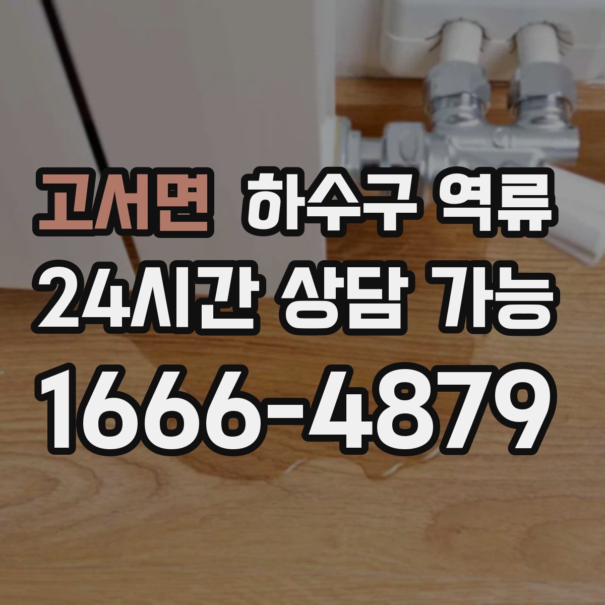 고서면 하수구 역류