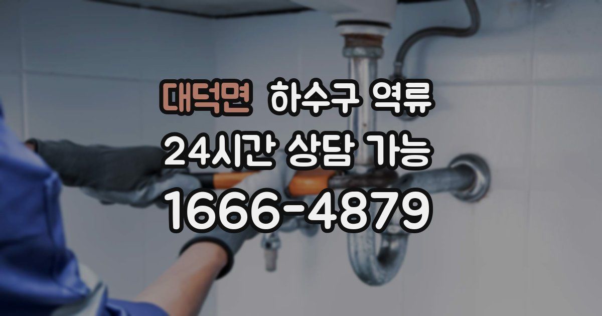 대덕면 하수구 역류