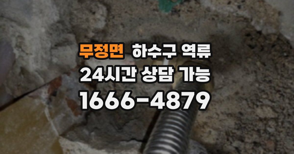무정면 하수구 역류