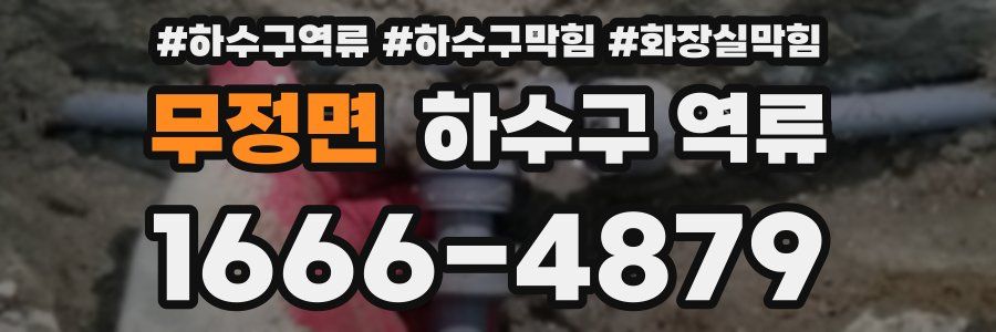 무정면 하수구 역류