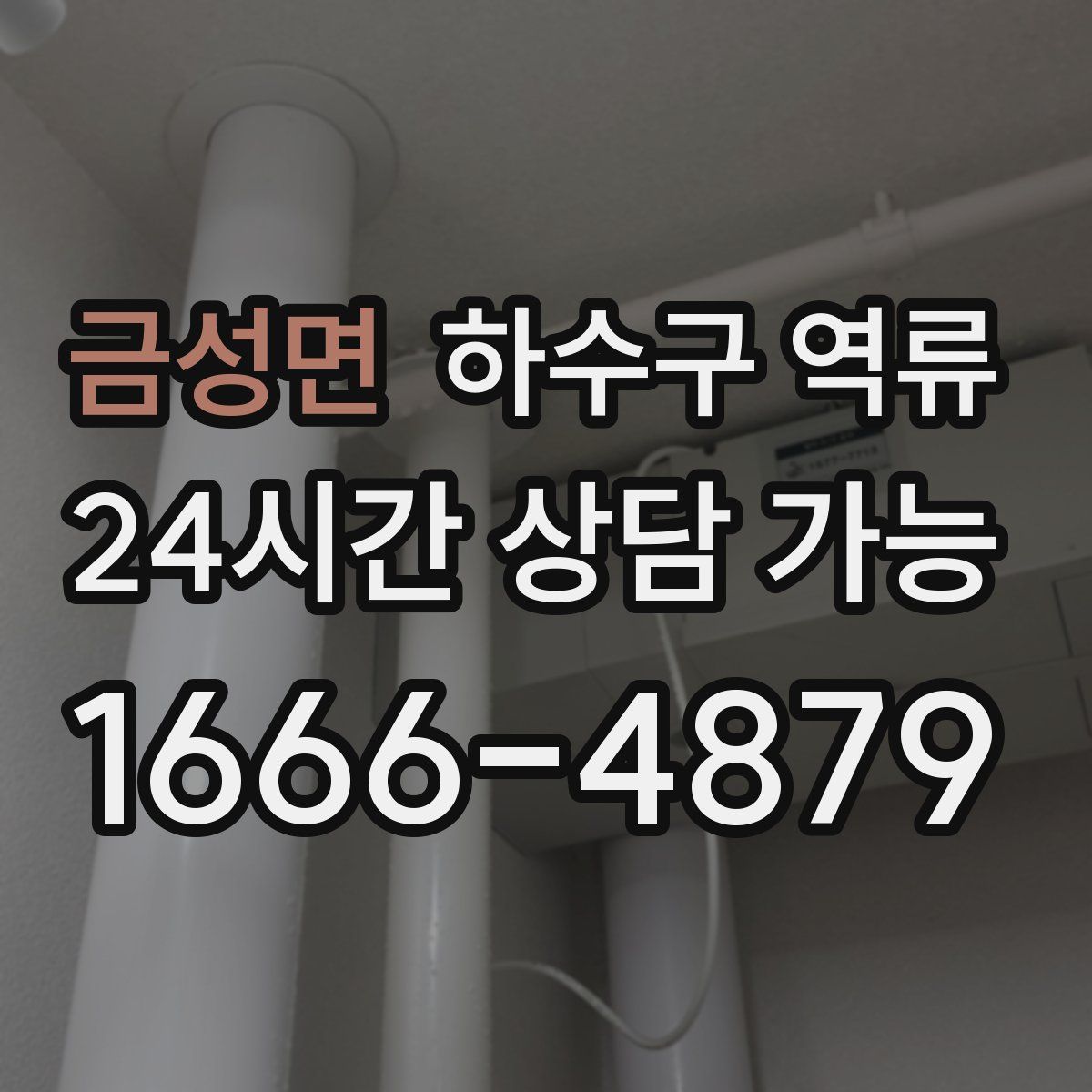 금성면 하수구 역류