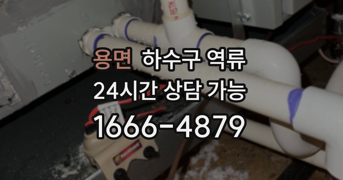 용면 하수구 역류