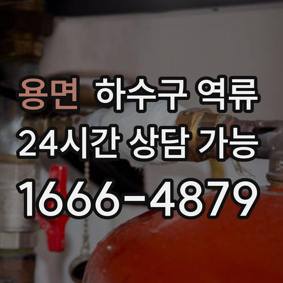 용면 하수구 역류