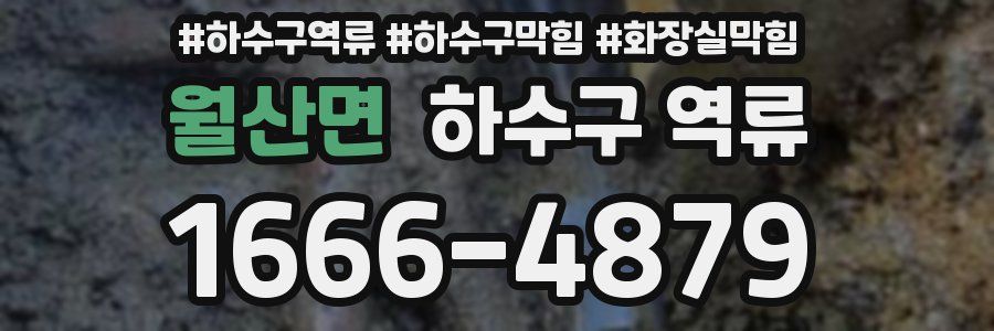 월산면 하수구 역류