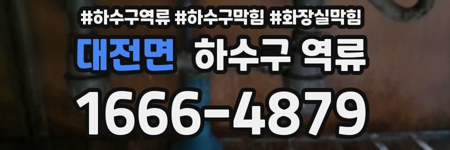 대전면 하수구 역류