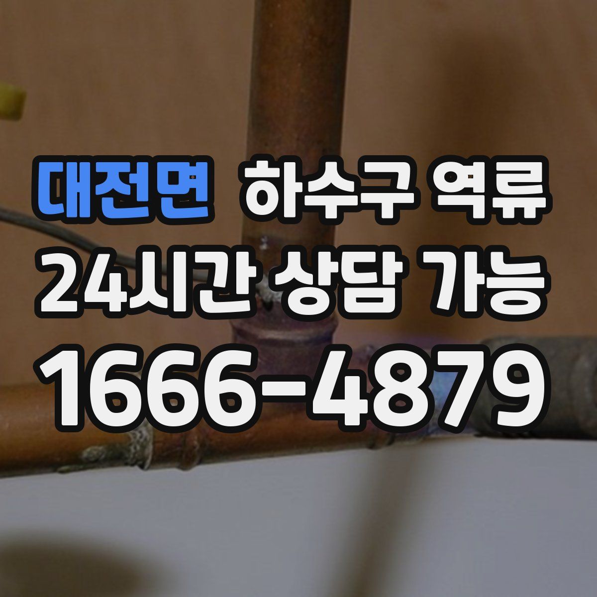 대전면 하수구 역류