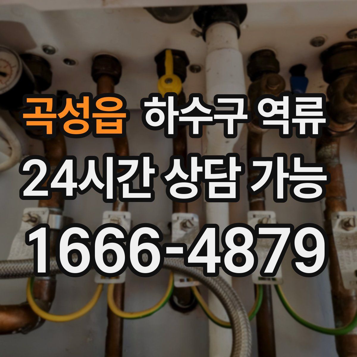 곡성읍 하수구 역류