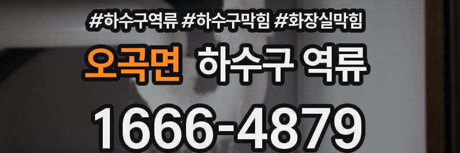 오곡면 하수구 역류