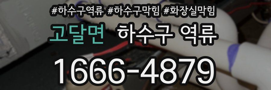 고달면 하수구 역류