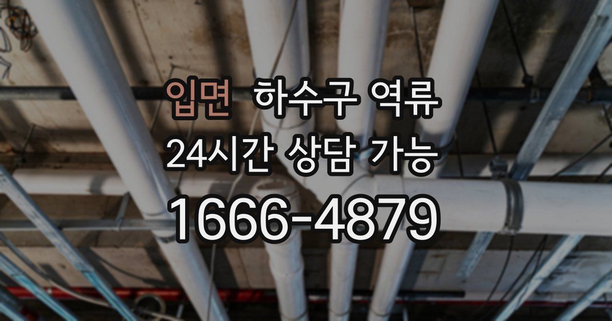입면 하수구 역류