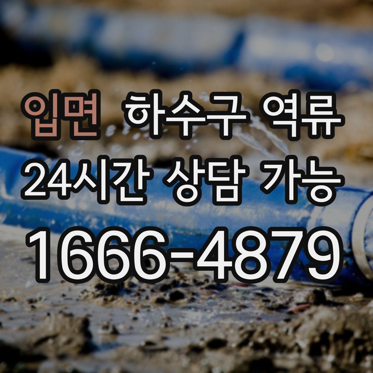 입면 하수구 역류