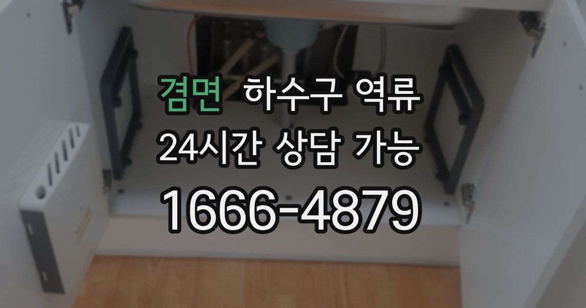 겸면 하수구 역류