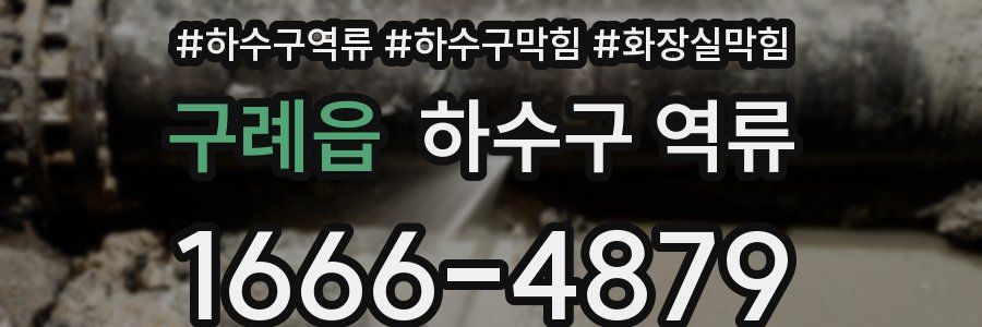구례읍 하수구 역류
