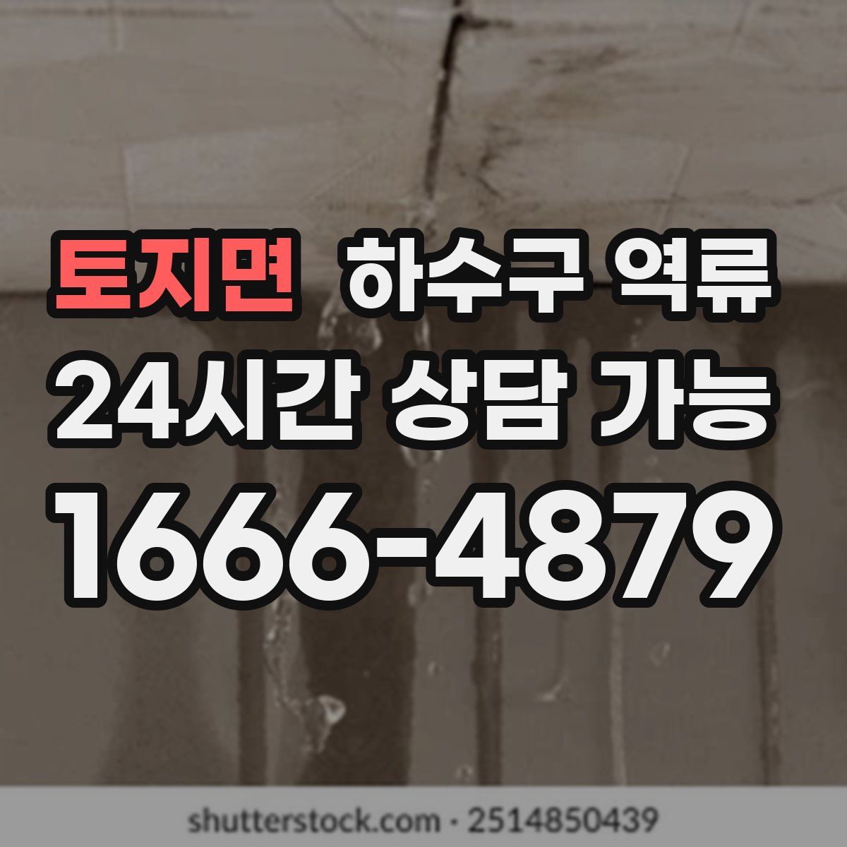 토지면 하수구 역류