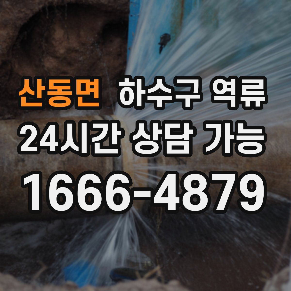 산동면 하수구 역류