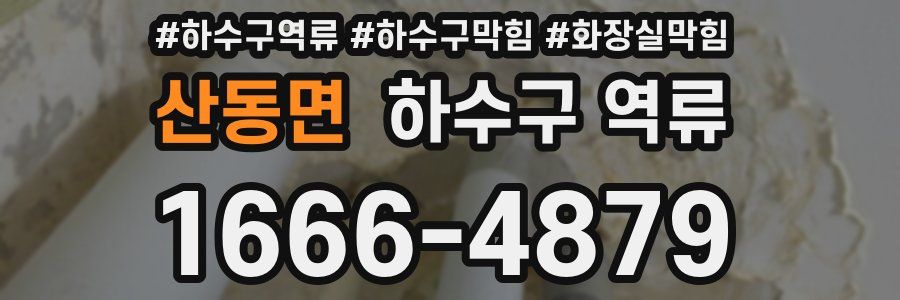 산동면 하수구 역류